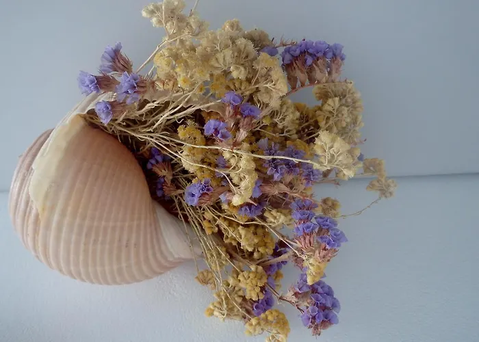 Hotel Mantalena Antiparos Town