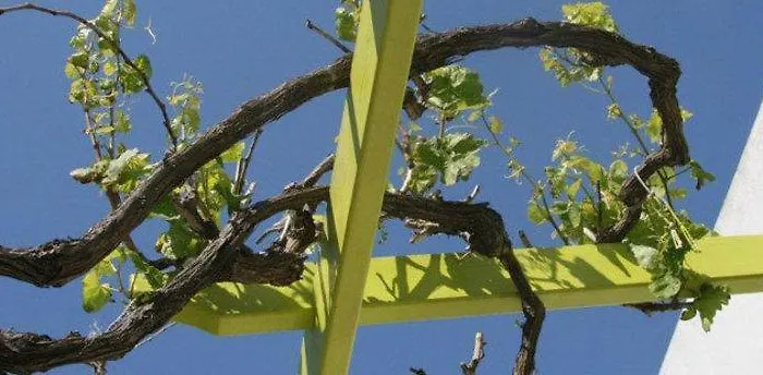 Mantalena Hotel Antiparos Town