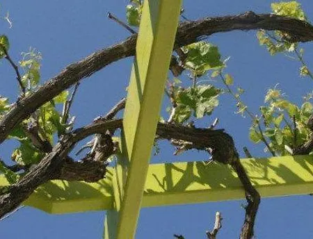Mantalena Hotel Antiparos Città